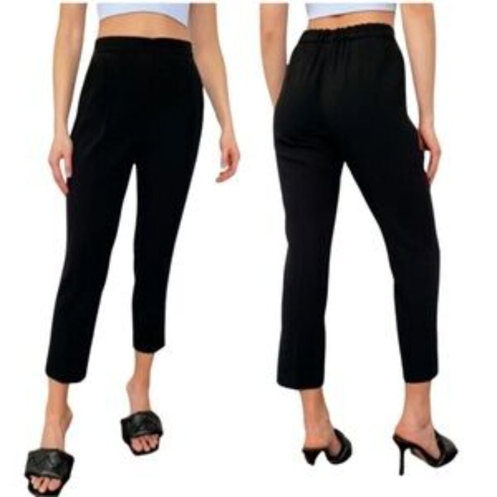 Aritzia Babaton Conan Pants